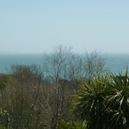 The view from the summer house