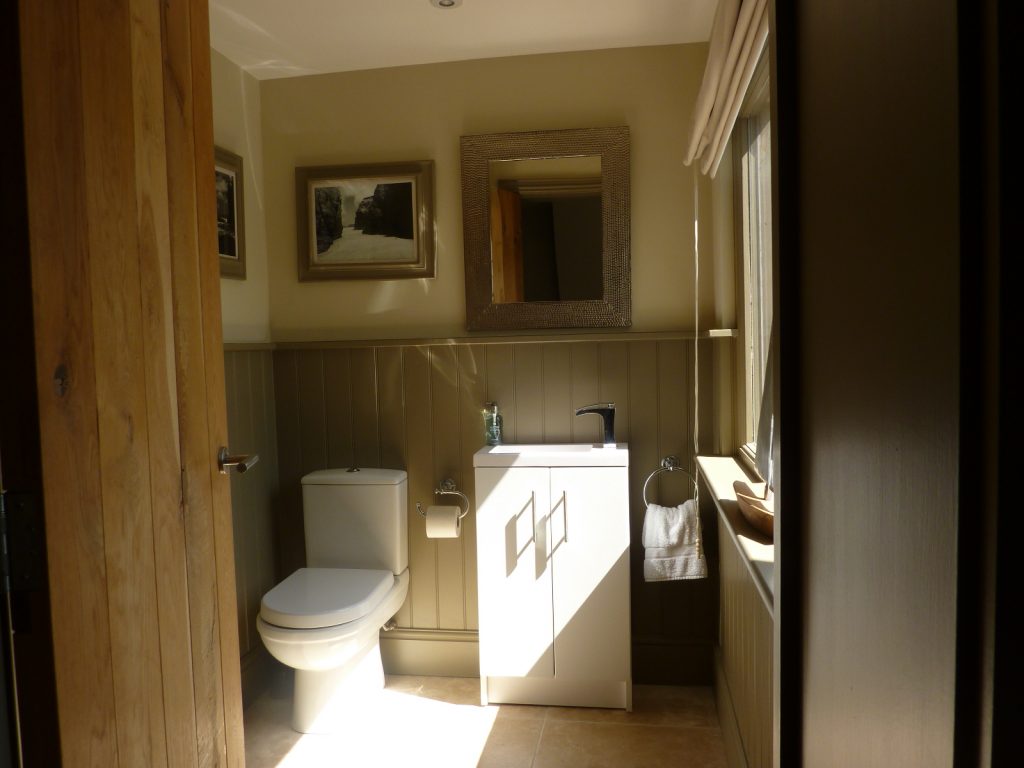 Downstairs WC with WC, Basin in The Summer House