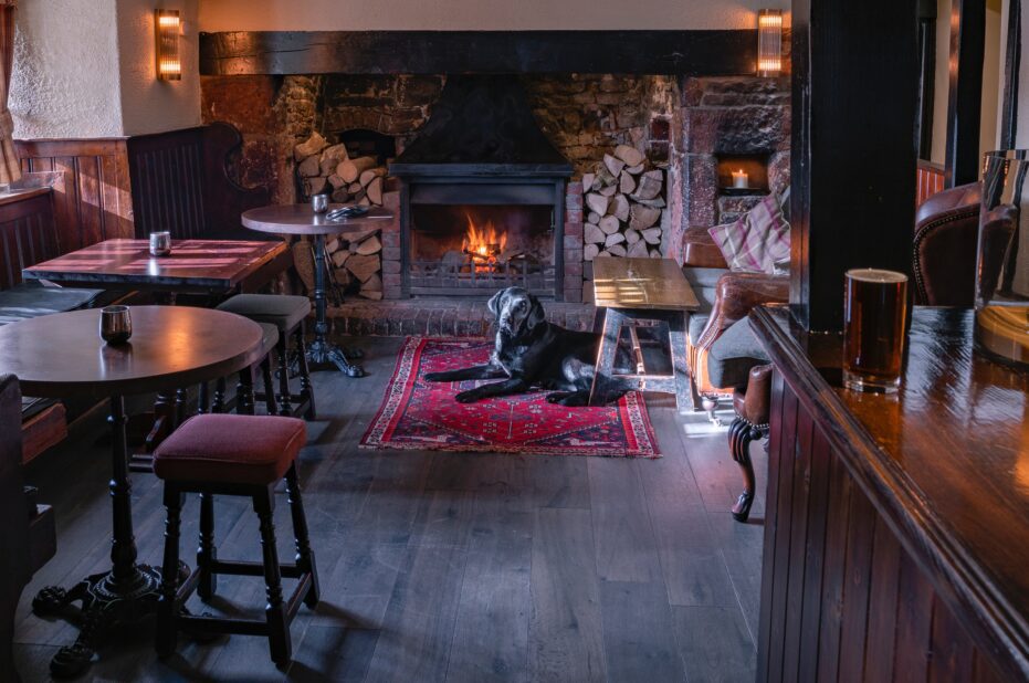 Cornish pubs: Black Labrador sitting in front of a fire at the local pub