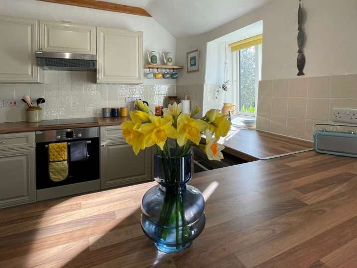 Cornish Barn Near Coast | Bright Kitchen with Vase of Daffodils