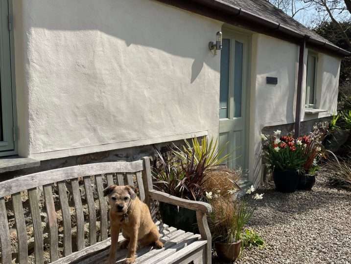 Cornish Barn Near Coast | Exterior of Barn with dog on bench