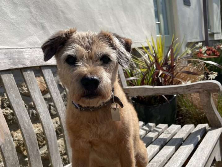 Cornish Barn Near Coast | Dog Friendly accommodation
