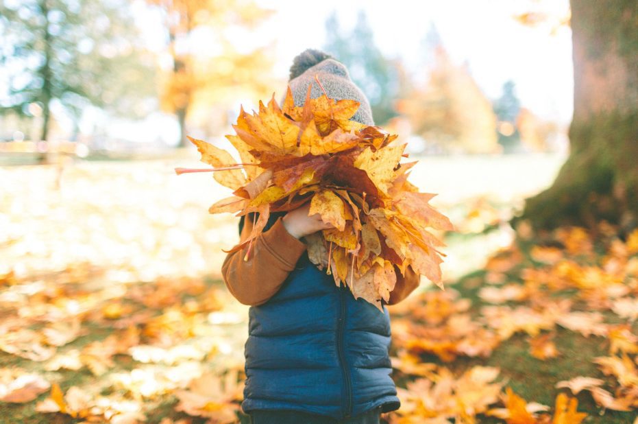 Autumn Woodland | Must Do Autumn Activities