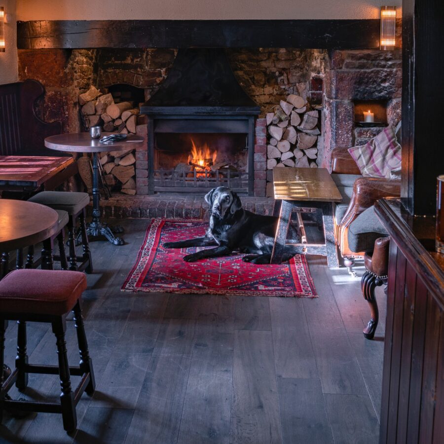 Cornish pubs: Black Labrador sitting in front of a fire at the local pub