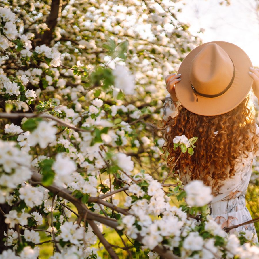 Spring-Garden- Blossom | Best-Gardens-in-West-Cornwall-Top-5