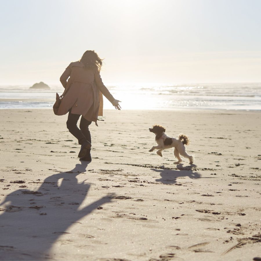 Top-5_Dog-Friendly-Beaches | West-Cornwall