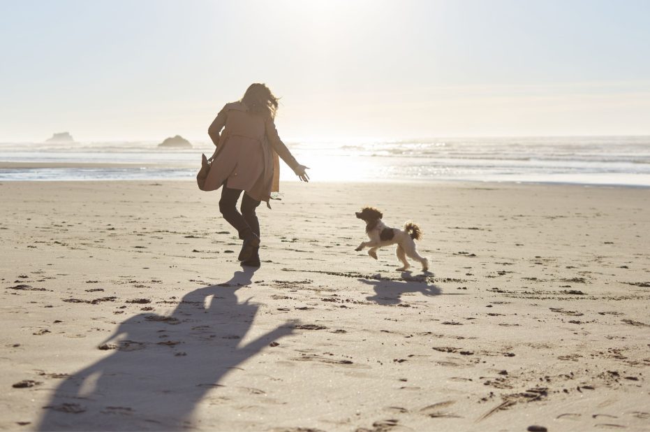 Top-5_Dog-Friendly-Beaches | West-Cornwall