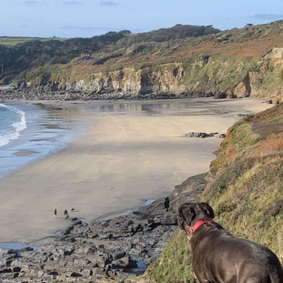 Dog walk south west coastal path at Prussia Cove | Easter in West Cornwall