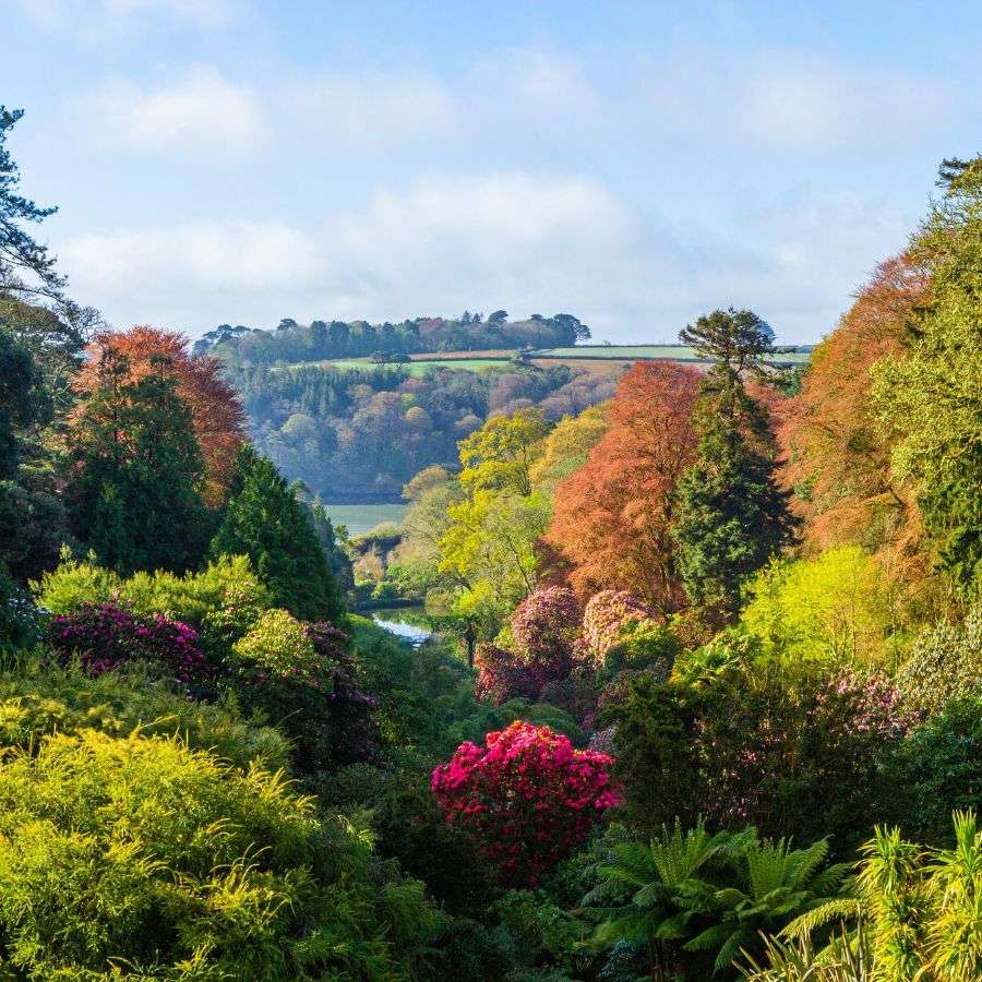 Trebah Garden valley to sea | Easter in West Cornwall